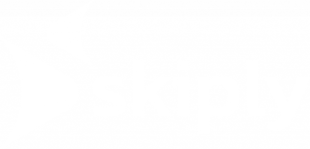Logo Skiply blanc